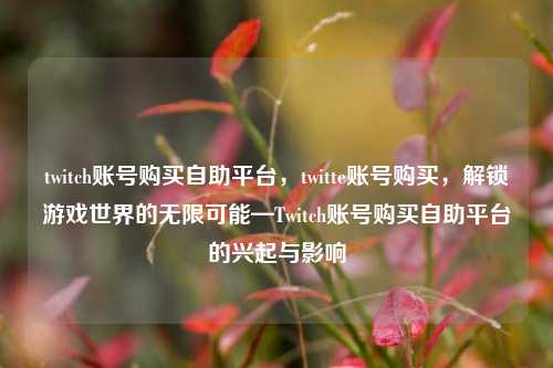 twitch账号购买自助平台，twitte账号购买，解锁游戏世界的无限可能—Twitch账号购买自助平台的兴起与影响