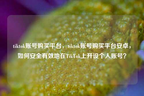 tiktok账号购买平台，tiktok账号购买平台安卓，如何安全有效地在TikTok上开设个人账号？