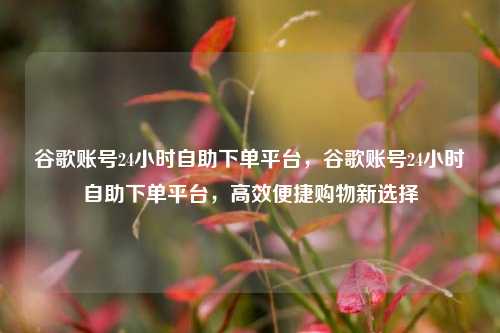 谷歌账号24小时自助下单平台，谷歌账号24小时自助下单平台，高效便捷购物新选择  第1张