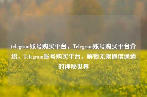 telegram账号购买平台，Telegram账号购买平台介绍，Telegram账号购买平台，解锁无限通信通道的神秘世界