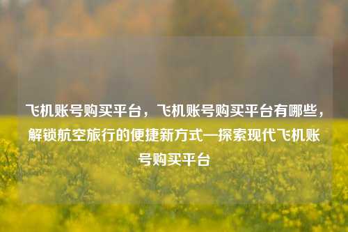 飞机账号购买平台，飞机账号购买平台有哪些，解锁航空旅行的便捷新方式—探索现代飞机账号购买平台