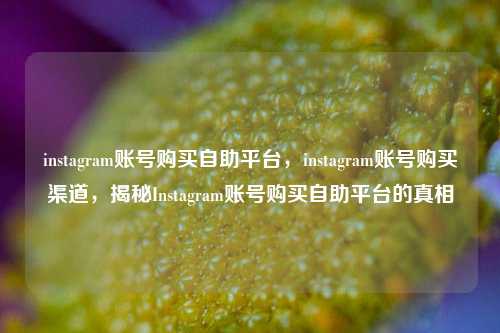instagram账号购买自助平台，instagram账号购买渠道，揭秘Instagram账号购买自助平台的真相
