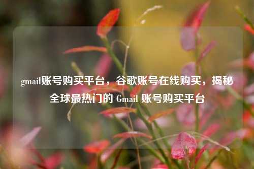 gmail账号购买平台，谷歌账号在线购买，揭秘全球最热门的 Gmail 账号购买平台