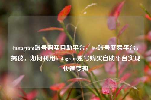 instagram账号购买自助平台，ins账号交易平台，揭秘，如何利用Instagram账号购买自助平台实现快速变现