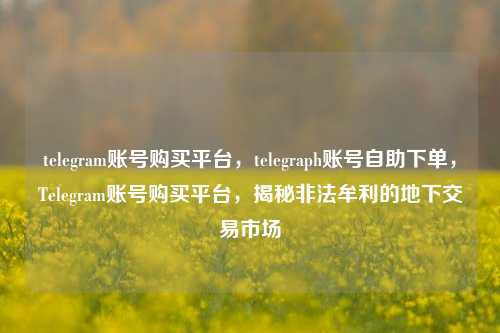 telegram账号购买平台，telegraph账号自助下单，Telegram账号购买平台，揭秘非法牟利的地下交易市场
