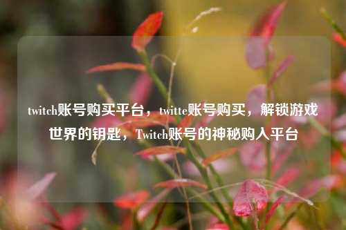 twitch账号购买平台，twitte账号购买，解锁游戏世界的钥匙，Twitch账号的神秘购入平台
