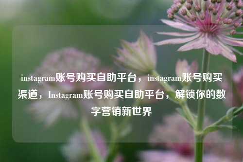 instagram账号购买自助平台，instagram账号购买渠道，Instagram账号购买自助平台，解锁你的数字营销新世界