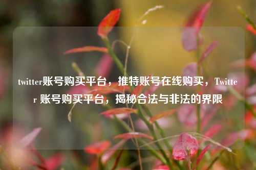 twitter账号购买平台，推特账号在线购买，Twitter 账号购买平台，揭秘合法与非法的界限