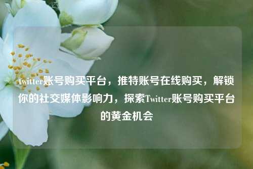 twitter账号购买平台，推特账号在线购买，解锁你的社交媒体影响力，探索Twitter账号购买平台的黄金机会