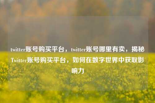 twitter账号购买平台，twitter账号哪里有卖	，揭秘Twitter账号购买平台，如何在数字世界中获取影响力  第1张