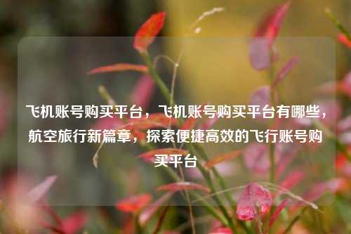 飞机账号购买平台，飞机账号购买平台有哪些，航空旅行新篇章，探索便捷高效的飞行账号购买平台