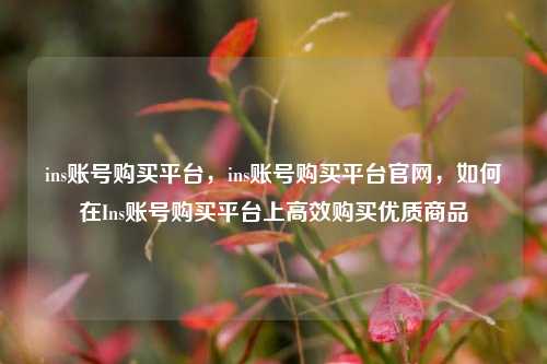 ins账号购买平台，ins账号购买平台官网，如何在Ins账号购买平台上高效购买优质商品