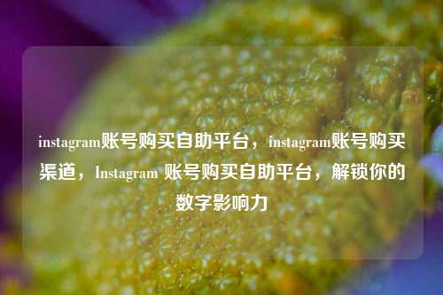 instagram账号购买自助平台，instagram账号购买渠道，Instagram 账号购买自助平台，解锁你的数字影响力