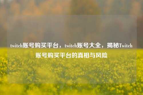 twitch账号购买平台，twitch账号大全，揭秘Twitch账号购买平台的真相与风险