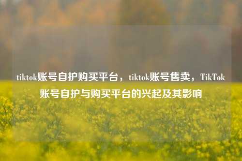 tiktok账号自护购买平台，tiktok账号售卖	，TikTok账号自护与购买平台的兴起及其影响  第1张