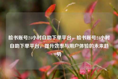 脸书账号24小时自助下单平台，脸书账号24小时自助下单平台，提升效率与用户体验的未来趋势