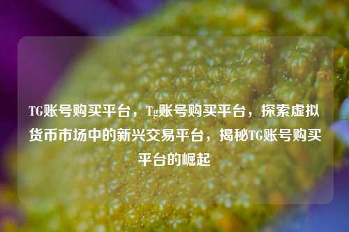 TG账号购买平台，Tg账号购买平台，探索虚拟货币市场中的新兴交易平台，揭秘TG账号购买平台的崛起