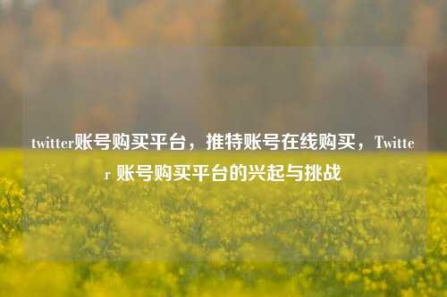 twitter账号购买平台	，推特账号在线购买，Twitter 账号购买平台的兴起与挑战  第1张