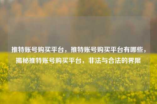 推特账号购买平台，推特账号购买平台有哪些，揭秘推特账号购买平台，非法与合法的界限