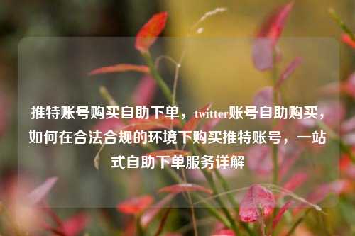推特账号购买自助下单，twitter账号自助购买，如何在合法合规的环境下购买推特账号，一站式自助下单服务详解