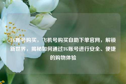 TG账号购买，飞机号购买自助下单官网，解锁新世界，揭秘如何通过TG账号进行安全、便捷的购物体验
