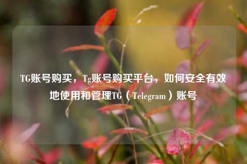 TG账号购买，Tg账号购买平台，如何安全有效地使用和管理TG（Telegram）账号