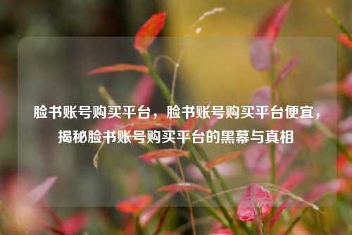 脸书账号购买平台，脸书账号购买平台便宜，揭秘脸书账号购买平台的黑幕与真相