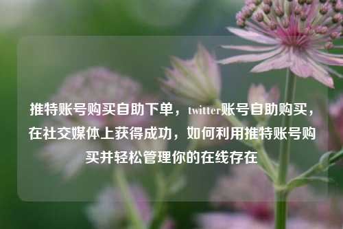 推特账号购买自助下单，twitter账号自助购买，在社交媒体上获得成功，如何利用推特账号购买并轻松管理你的在线存在