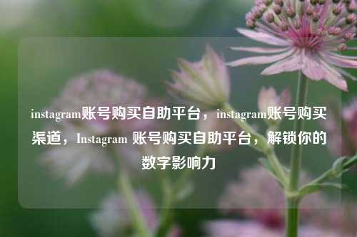 instagram账号购买自助平台，instagram账号购买渠道，Instagram 账号购买自助平台，解锁你的数字影响力