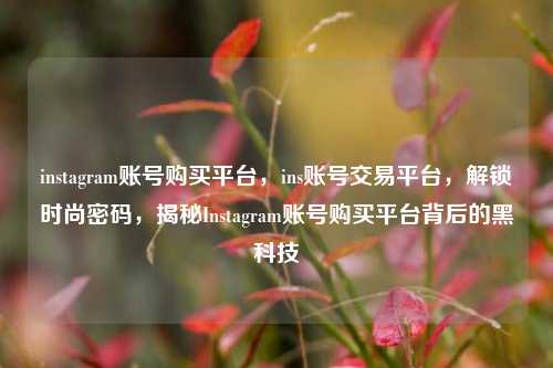 instagram账号购买平台	，ins账号交易平台，解锁时尚密码，揭秘Instagram账号购买平台背后的黑科技  第1张
