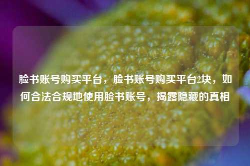 脸书账号购买平台，脸书账号购买平台2块，如何合法合规地使用脸书账号，揭露隐藏的真相