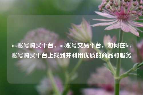 ins账号购买平台，ins账号交易平台，如何在Ins账号购买平台上找到并利用优质的商品和服务  第1张