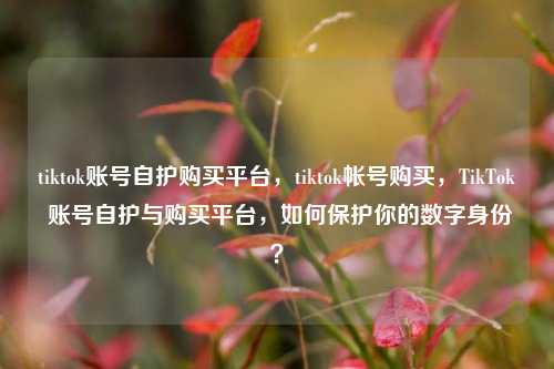 tiktok账号自护购买平台，tiktok帐号购买，TikTok 账号自护与购买平台，如何保护你的数字身份？