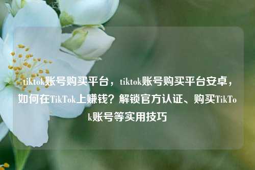 tiktok账号购买平台，tiktok账号购买平台安卓，如何在TikTok上赚钱？解锁官方认证、购买TikTok账号等实用技巧