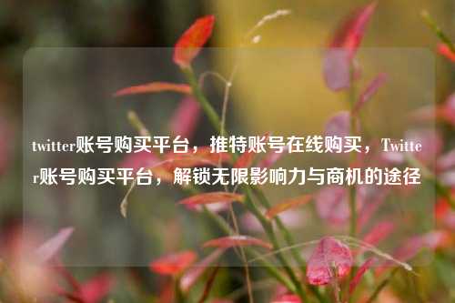 twitter账号购买平台，推特账号在线购买，Twitter账号购买平台，解锁无限影响力与商机的途径