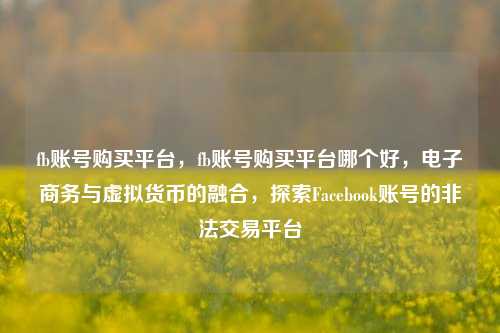 fb账号购买平台，fb账号购买平台哪个好，电子商务与虚拟货币的融合，探索Facebook账号的非法交易平台