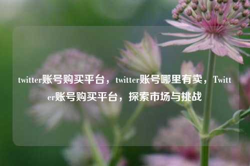 twitter账号购买平台	，twitter账号哪里有卖，Twitter账号购买平台，探索市场与挑战  第1张