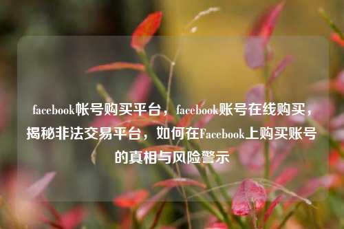facebook帐号购买平台，facebook账号在线购买，揭秘非法交易平台，如何在Facebook上购买账号的真相与风险警示