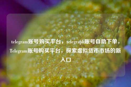 telegram账号购买平台，telegraph账号自助下单，Telegram账号购买平台，探索虚拟货币市场的新入口