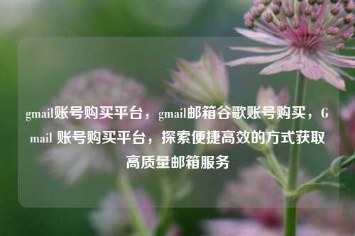 gmail账号购买平台，gmail邮箱谷歌账号购买，Gmail 账号购买平台，探索便捷高效的方式获取高质量邮箱服务