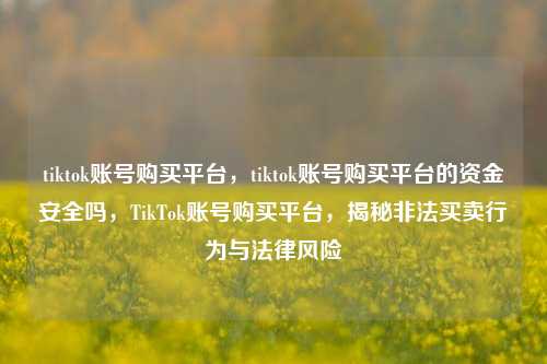 tiktok账号购买平台，tiktok账号购买平台的资金安全吗，TikTok账号购买平台，揭秘非法买卖行为与法律风险