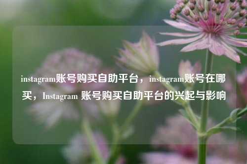 instagram账号购买自助平台，instagram账号在哪买，Instagram 账号购买自助平台的兴起与影响
