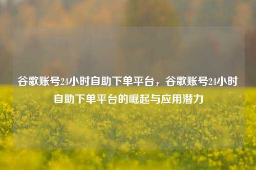 谷歌账号24小时自助下单平台，谷歌账号24小时自助下单平台的崛起与应用潜力