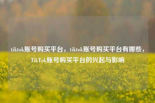 tiktok账号购买平台，tiktok账号购买平台有哪些，TikTok账号购买平台的兴起与影响