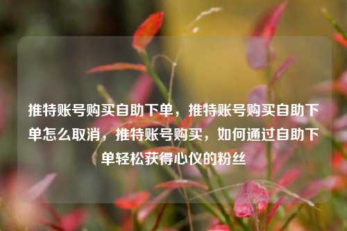 推特账号购买自助下单，推特账号购买自助下单怎么取消，推特账号购买，如何通过自助下单轻松获得心仪的粉丝