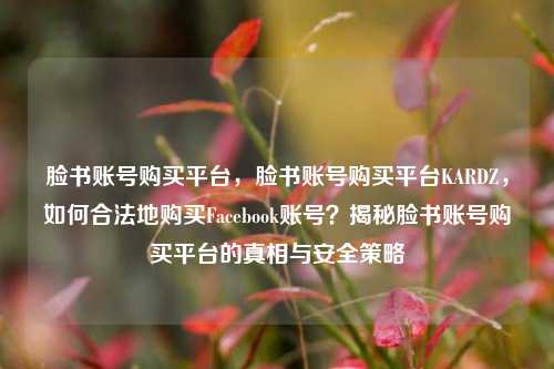 脸书账号购买平台，脸书账号购买平台KARDZ，如何合法地购买Facebook账号？揭秘脸书账号购买平台的真相与安全策略