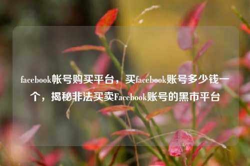 facebook帐号购买平台，买facebook账号多少钱一个，揭秘非法买卖Facebook账号的黑市平台