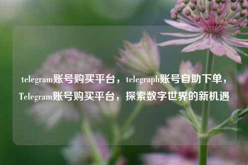 telegram账号购买平台，telegraph账号自助下单，Telegram账号购买平台，探索数字世界的新机遇