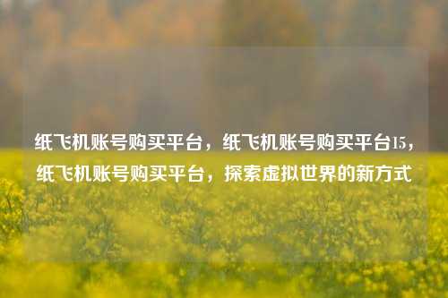纸飞机账号购买平台，纸飞机账号购买平台15，纸飞机账号购买平台，探索虚拟世界的新方式