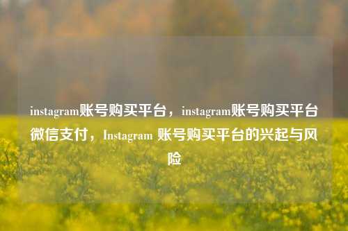 instagram账号购买平台，instagram账号购买平台微信支付	，Instagram 账号购买平台的兴起与风险  第1张